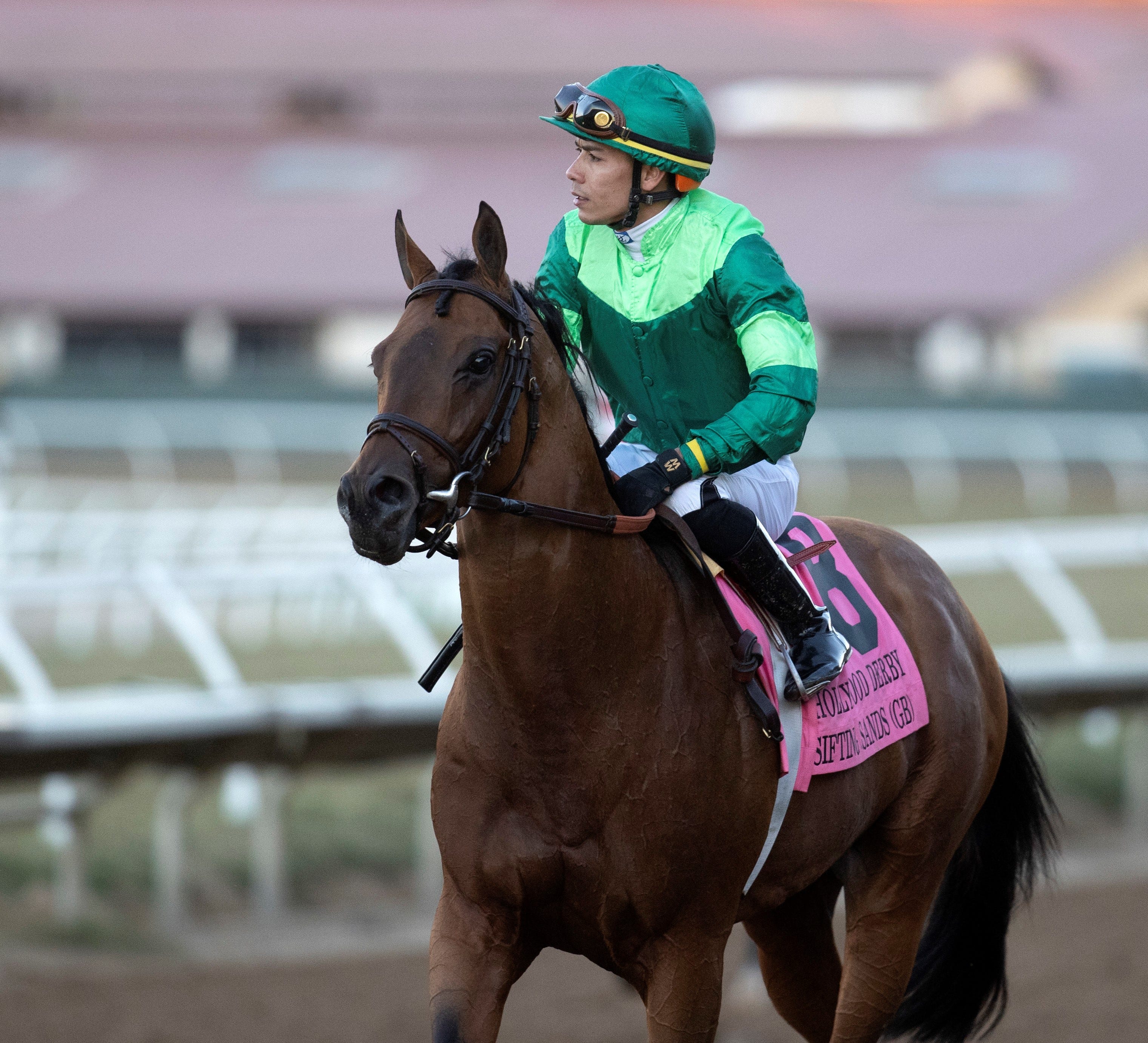 O'Neill to have sixhorse stable in Dubai